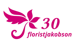 Matusepärjad kulleriga